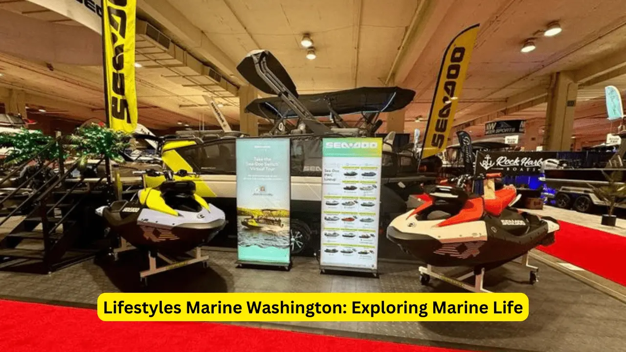 Lifestyles Marine Washington: Exploring Marine Life