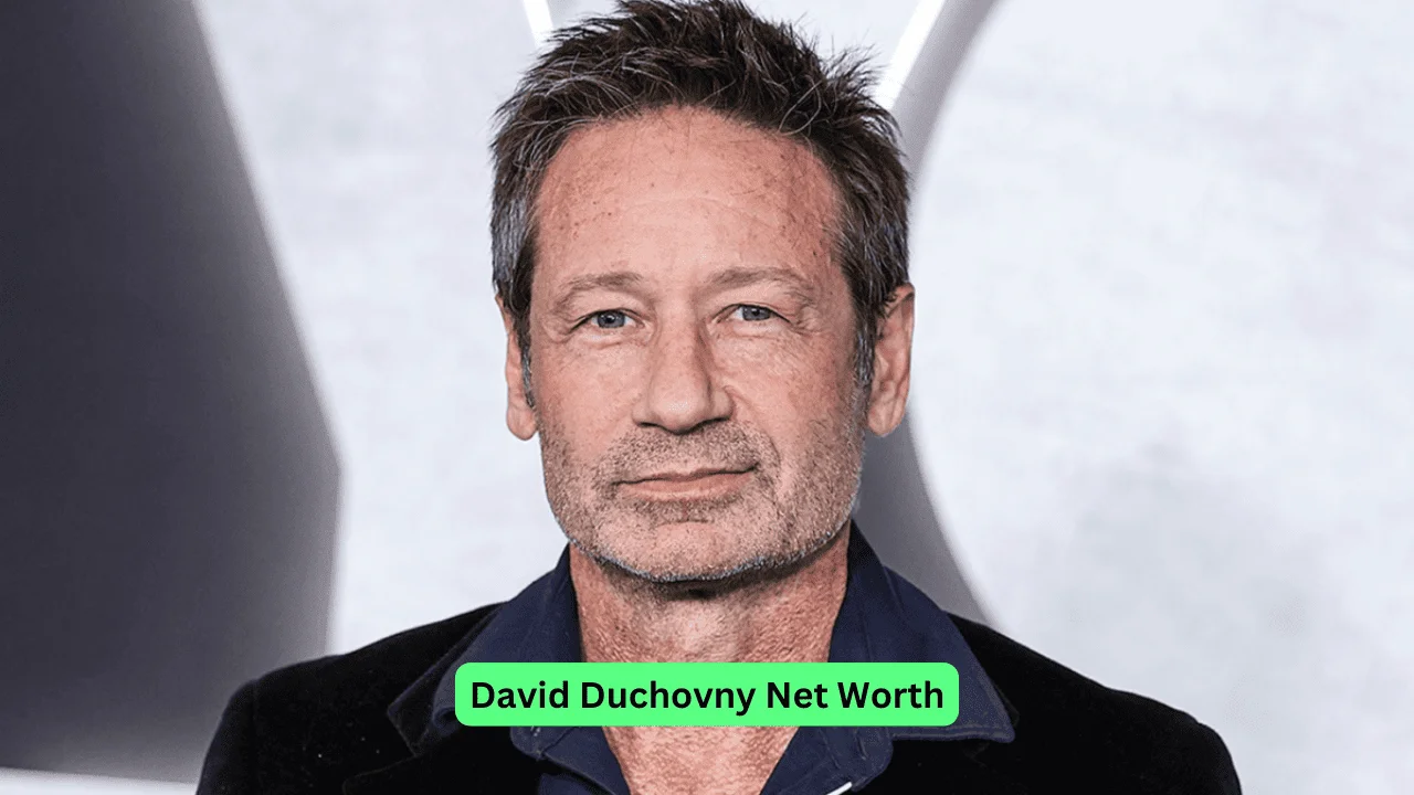 David Duchovny Net Worth